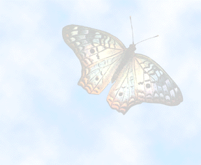 bkbutterfly8.gif