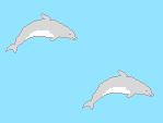 bkdolphin3.gif