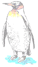 bkpenguin.gif