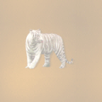 bkwhitetiger.gif