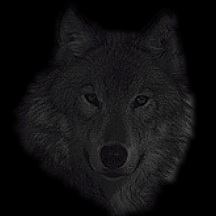 wolfhead1.gif