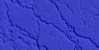 blue5.gif