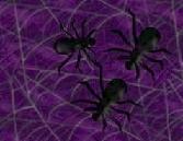 bgspiderspurpleweb2.jpg