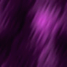 purple1.gif