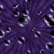 purple2.gif