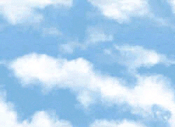 bg8.gif