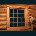 cabin-window.png