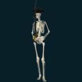 skeleton-031.png