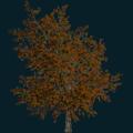 tree-011.png