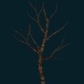 tree-077.png