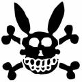 bunny-scull1.jpg