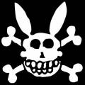 bunny-scull2.jpg