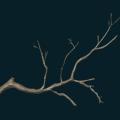 treebranch1.png