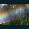 rain-bow-7.jpg