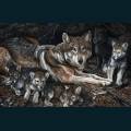wolves-58.jpg