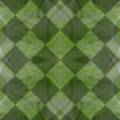 checker-green.jpg