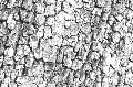 texture-9.jpg (96567 bytes)