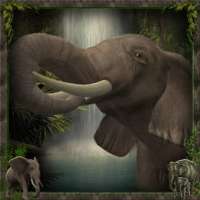 2-elephant-paradise-Fun-Lover.jpg